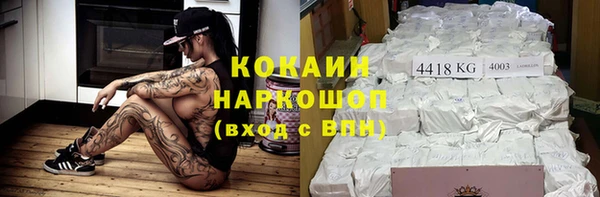 хмурый Няндома
