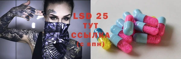 соль ск Новодвинск