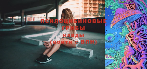 соль ск Новодвинск