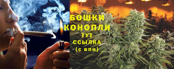 соль ск Новодвинск