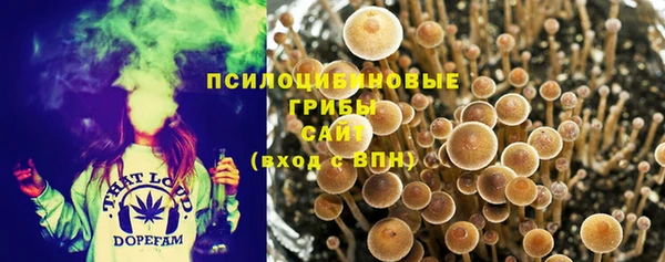 хмурый Няндома