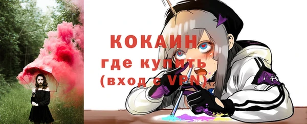 соль ск Новодвинск