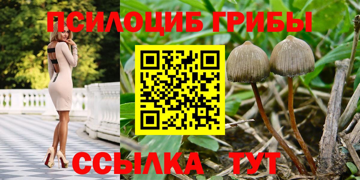 Псилоцибиновые грибы Cubensis  купить  сайты  Заволжье  Галлюциногенные грибы GOLDEN TEACHER  Вход с VPN 
