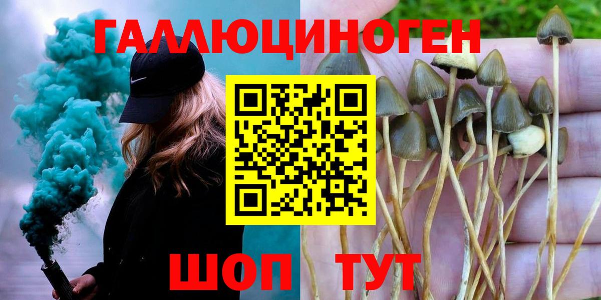 Псилоцибиновые грибы мухоморы  Заволжье 