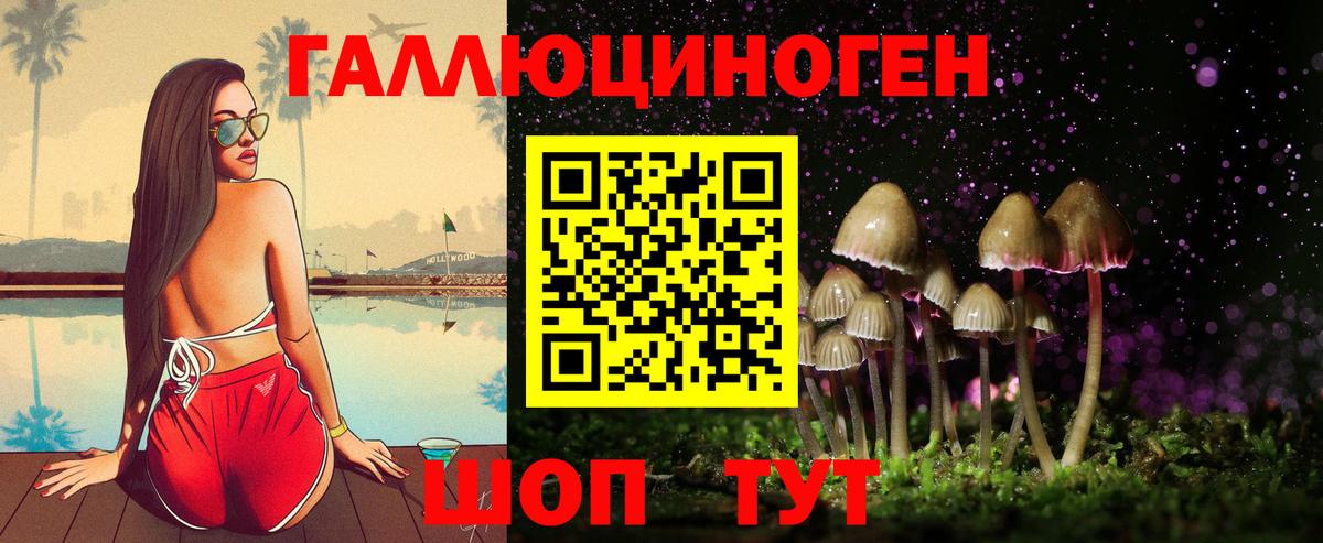 Галлюциногенные грибы Psilocybine cubensis Заволжье