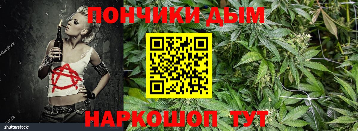 Каннабис Ganja  Бошки марихуана план  Заволжье  Бошки Шишки LSD WEED 